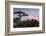 Baobab Tree during Sunset. Madagascar-Dudarev Mikhail-Framed Photographic Print