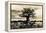 Baobab Tree in Ruaha National Park, Southern Tanzania-Paul Joynson Hicks-Framed Premier Image Canvas