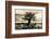 Baobab Tree in Ruaha National Park, Southern Tanzania-Paul Joynson Hicks-Framed Photographic Print