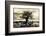 Baobab Tree in Ruaha National Park, Southern Tanzania-Paul Joynson Hicks-Framed Photographic Print