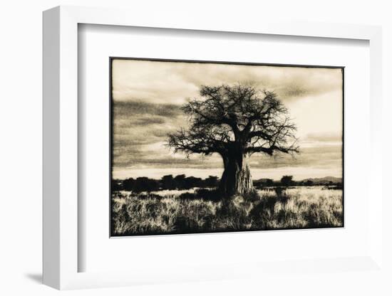 Baobab Tree in Ruaha National Park, Southern Tanzania-Paul Joynson Hicks-Framed Photographic Print