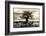 Baobab Tree in Ruaha National Park, Southern Tanzania-Paul Joynson Hicks-Framed Photographic Print