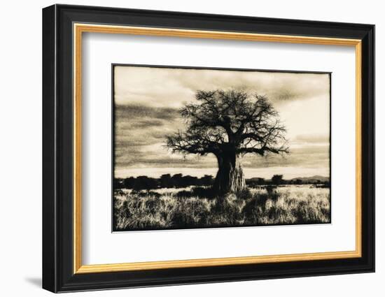 Baobab Tree in Ruaha National Park, Southern Tanzania-Paul Joynson Hicks-Framed Photographic Print