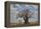 Baobab tree, Ruaha National Park, Tanzania, East Africa, Africa-James Hager-Framed Premier Image Canvas