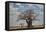 Baobab tree, Ruaha National Park, Tanzania, East Africa, Africa-James Hager-Framed Premier Image Canvas