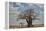 Baobab tree, Ruaha National Park, Tanzania, East Africa, Africa-James Hager-Framed Premier Image Canvas