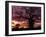 Baobab Tree Silhouetted by Spectacular Sunrise, Kenya, East Africa, Africa-Stanley Storm-Framed Photographic Print