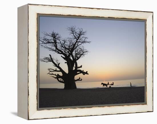 Baobab Tree, Sine Saloum Delta, Senegal, West Africa, Africa-Robert Harding-Framed Premier Image Canvas