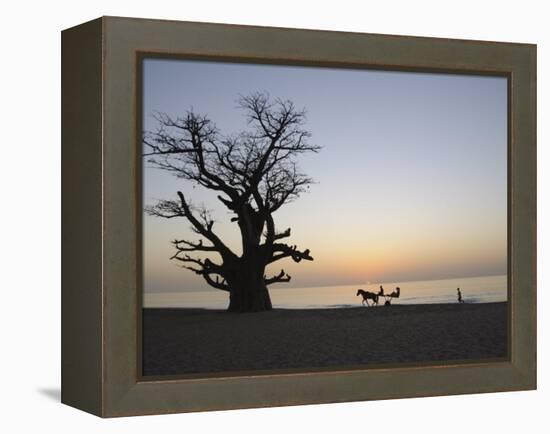 Baobab Tree, Sine Saloum Delta, Senegal, West Africa, Africa-Robert Harding-Framed Premier Image Canvas