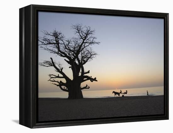 Baobab Tree, Sine Saloum Delta, Senegal, West Africa, Africa-Robert Harding-Framed Premier Image Canvas