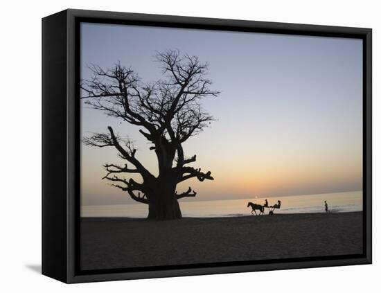 Baobab Tree, Sine Saloum Delta, Senegal, West Africa, Africa-Robert Harding-Framed Premier Image Canvas