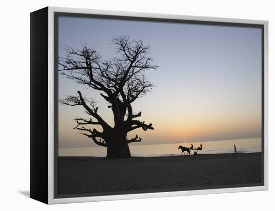 Baobab Tree, Sine Saloum Delta, Senegal, West Africa, Africa-Robert Harding-Framed Premier Image Canvas