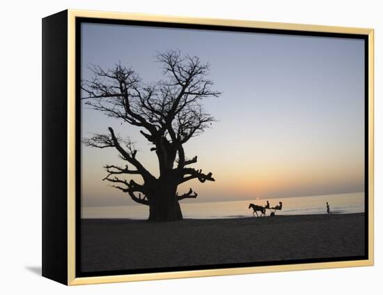 Baobab Tree, Sine Saloum Delta, Senegal, West Africa, Africa-Robert Harding-Framed Premier Image Canvas
