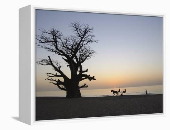 Baobab Tree, Sine Saloum Delta, Senegal, West Africa, Africa-Robert Harding-Framed Premier Image Canvas