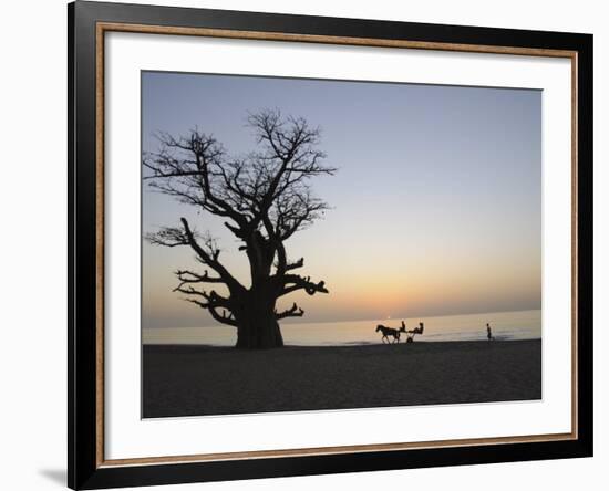 Baobab Tree, Sine Saloum Delta, Senegal, West Africa, Africa-Robert Harding-Framed Photographic Print