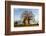 Baobab Tree-Michele Westmorland-Framed Photographic Print