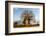 Baobab Tree-Michele Westmorland-Framed Photographic Print