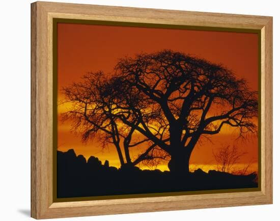 Baobab Trees at Sunset-Paul Souders-Framed Premier Image Canvas