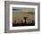 Baobab Trees in Baobabs Avenue, Near Morondava, West Madagascar-Inaki Relanzon-Framed Photographic Print