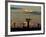 Baobab Trees in Baobabs Avenue, Near Morondava, West Madagascar-Inaki Relanzon-Framed Photographic Print