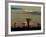 Baobab Trees in Baobabs Avenue, Near Morondava, West Madagascar-Inaki Relanzon-Framed Photographic Print