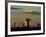 Baobab Trees in Baobabs Avenue, Near Morondava, West Madagascar-Inaki Relanzon-Framed Photographic Print