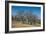 Baobab Trees in Kununurra, Kimberleys, Western Australia, Australia, Pacific-Michael Runkel-Framed Photographic Print