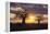 Baobab Trees in the Sunset-DLILLC-Framed Premier Image Canvas