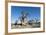 Baobab Trees, Kubu Island, Botswana-Paul Souders-Framed Photographic Print