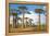 Baobab Trees, Morondava, Madagascar, Africa-Bruno Morandi-Framed Premier Image Canvas