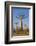 Baobabs (Adansonia Grandidieri), Morondava, Madagascar, Africa-Gabrielle and Michel Therin-Weise-Framed Photographic Print