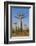 Baobabs (Adansonia Grandidieri), Morondava, Madagascar, Africa-Gabrielle and Michel Therin-Weise-Framed Photographic Print