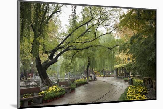 Baotu Spring Park, Jinan, Shandong province, China, Asia-Michael Snell-Mounted Photographic Print