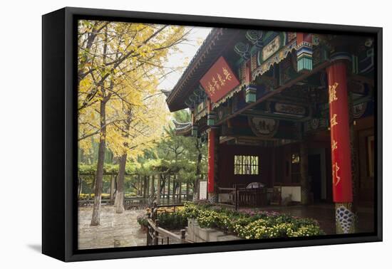 Baotu Spring Park, Jinan, Shandong province, China, Asia-Michael Snell-Framed Premier Image Canvas