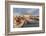 Bar at the port of Otranto, Lecce province, Salentine Peninsula, Puglia, Italy, Mediterranean, Euro-Markus Lange-Framed Photographic Print