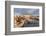 Bar at the port of Otranto, Lecce province, Salentine Peninsula, Puglia, Italy, Mediterranean, Euro-Markus Lange-Framed Photographic Print