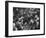 Bar Crammed with Patrons at Sammy's Bowery Follies-Alfred Eisenstaedt-Framed Photographic Print