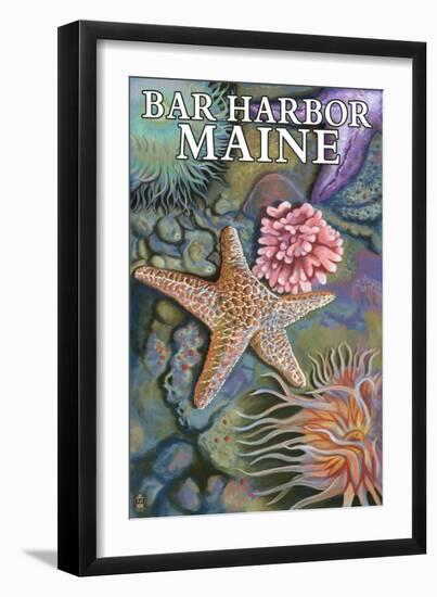 Bar Harbor, Maine - Tidepool Scene-Lantern Press-Framed Art Print