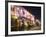 Bar Street, Melaka (Malacca), Melaka State, Malaysia, Southeast Asia, Asia-Christian Kober-Framed Photographic Print