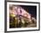 Bar Street, Melaka (Malacca), Melaka State, Malaysia, Southeast Asia, Asia-Christian Kober-Framed Photographic Print