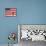 Barack Obama in front of US Flag, Flint, MI-null-Mounted Photographic Print displayed on a wall