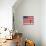 Barack Obama in front of US Flag, Flint, MI-null-Mounted Photographic Print displayed on a wall