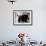 Barack Obama, Joe Biden and Their Wives Wave During the Inaugural Celebration at Lincoln Memorial-null-Framed Photographic Print displayed on a wall