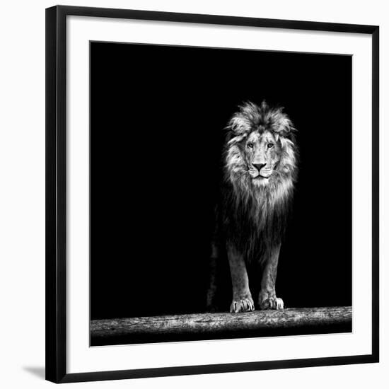 Photographic Print, , large