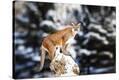 Stretched Canvas Print