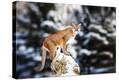 Stretched Canvas Print
