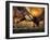 Barasingha, Khana National Park, India-Gavriel Jecan-Framed Photographic Print