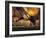 Barasingha, Khana National Park, India-Gavriel Jecan-Framed Photographic Print