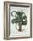 Barbados Aloe, from 'Hortus Eystettensis', by Basil Besler (1561-1629) Pub. 1613-German School-Framed Giclee Print