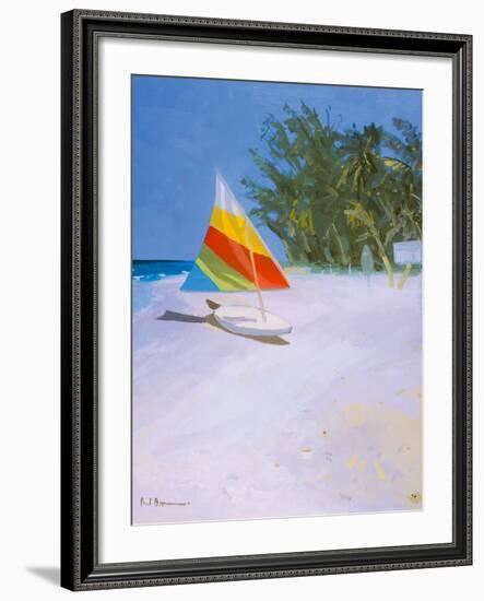 Barbados Beach II-Paul Brown-Framed Giclee Print